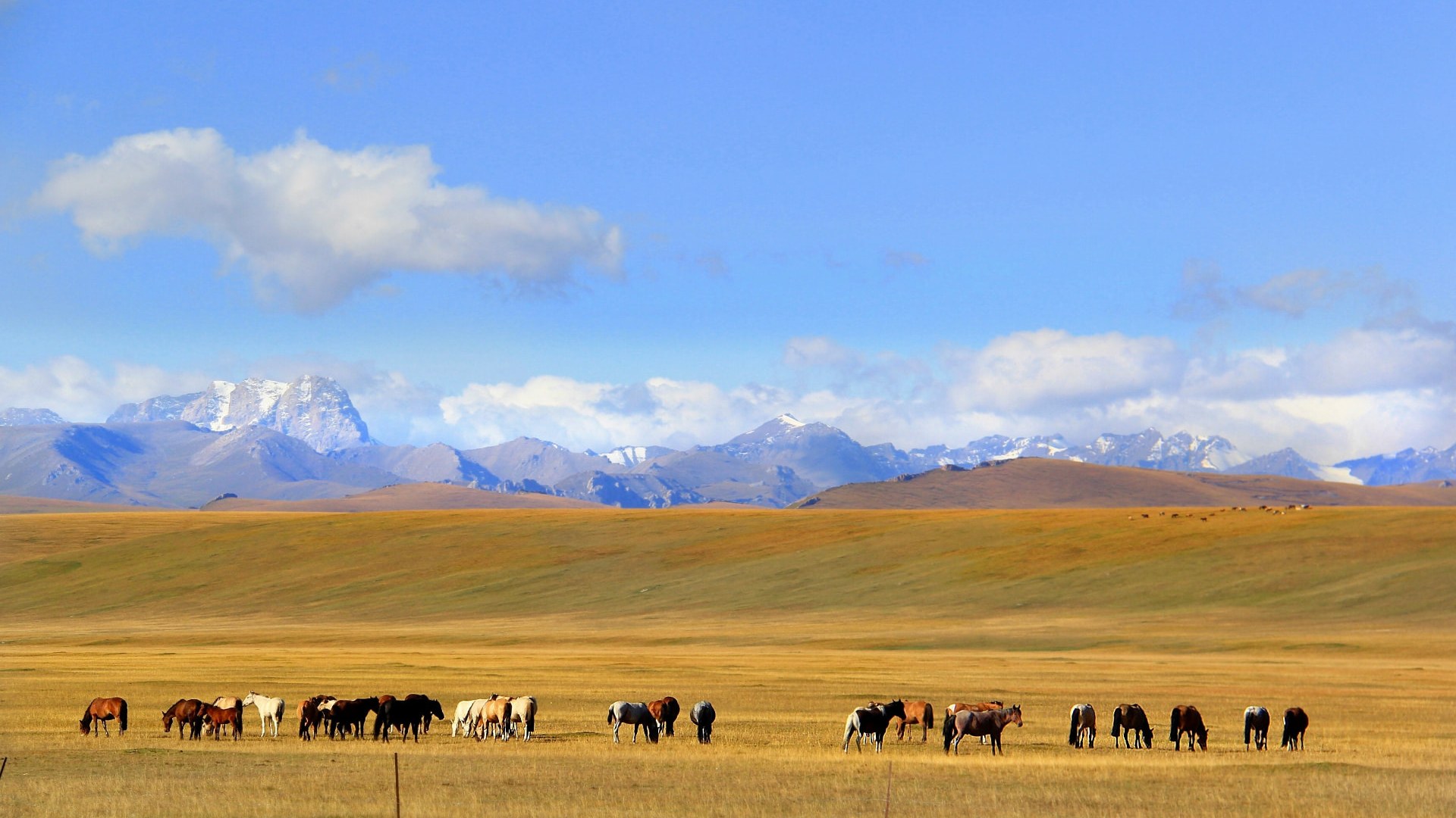 Northern Xinjiang Grand Loop