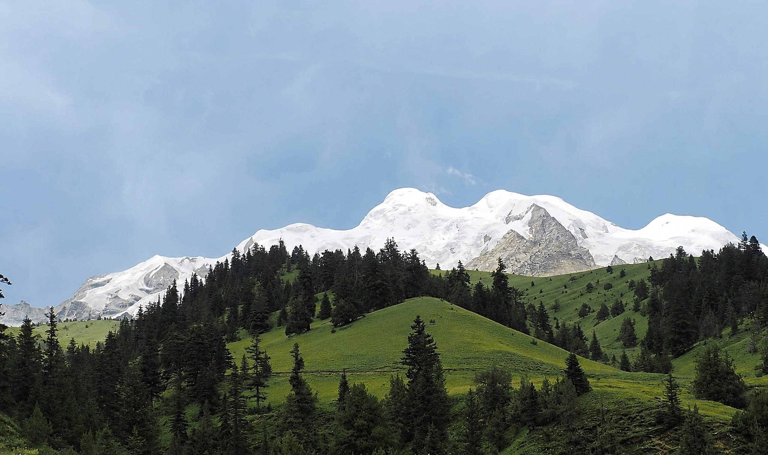 Snow-capped mountains behind green forested hills under a bright sky